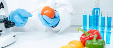 Scientist check chemical food residues in laboratory. Control experts inspect quality of fruits, vegetables. lab, hazards, ROHs, find prohibited substances, contaminate, Microscope, Microbiologist