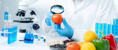 Scientist check chemical food residues in laboratory. Control experts inspect quality of fruits, vegetables. lab, hazards, ROHs, find prohibited substances, contaminate, Microscope, Microbiologist