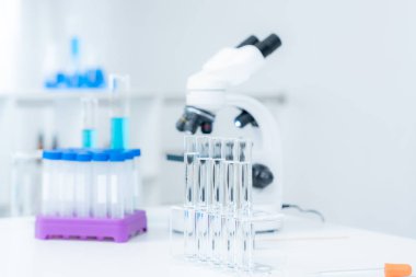 Gelişmiş bilim laboratuarındaki biyokimyasal örnekleri analiz et. Tıbbi profesyonel kullanım mikroskobu virüsün mikrobiyolojik gelişimini gösteriyor. Fen laboratuvarında biyoteknoloji araştırması.