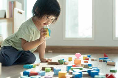 Mutlu Asya çocukları oyuncak bloklarıyla oynayıp öğreniyor. Aile evde mutlu ve heyecanlı. Kızın zaman, etkinlik, gelişme, IQ, EQ, meditasyon, beyin, kaslar, temel beceriler.