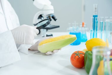 Bilimadamları, laboratuvardaki meyve ve sebze artıkları üzerindeki kimyasal maddelerin fiziksel etkilerini kontrol etmek için büyüteç kullanıyorlar. Kimyasal kalıntıların konsantrasyonunu inceleyin, standart, yasaklanmış maddeleri bulun