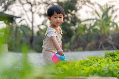 Evde organik tarım, organik sebze çiftliği. Çocuklar organik sebzeleri suluyor. Zehirli olmayan sebze doğal olarak yetişir. sera bahçesi, Ekolojik Biyolojik, Sağlıklı, Vejetaryen, ekoloji