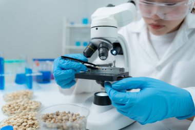 Bilimadamı laboratuvardaki tüm kimyasal tanecikleri kontrol ediyor. Kontrol uzmanları kimyasal kalıntıların konsantrasyonunu inceliyor. Tehlike, standart, yasaklı maddeler, kirlilik, mikrobiyolog