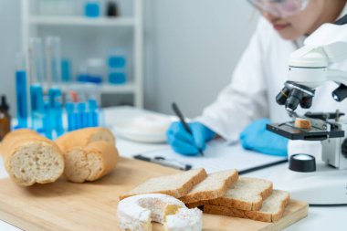 Bilimadamı kimyasalları ve mantarları laboratuvarda kontrol ediyor. Kontrol uzmanları kimyasal kalıntıların konsantrasyonunu inceliyor. Tehlike, standart, yasaklı maddeler, kirlilik, mikrobiyolog