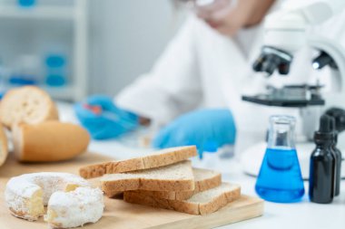 Bilimadamı kimyasalları ve mantarları laboratuvarda kontrol ediyor. Kontrol uzmanları kimyasal kalıntıların konsantrasyonunu inceliyor. Tehlike, standart, yasaklı maddeler, kirlilik, mikrobiyoloji