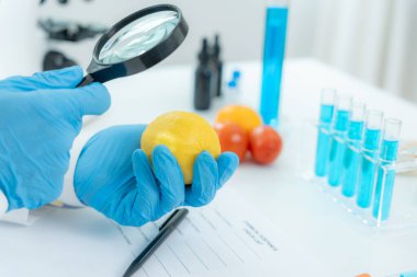 Bilimadamları, laboratuvardaki meyve ve sebze artıkları üzerindeki kimyasal maddelerin fiziksel etkilerini kontrol etmek için büyüteç kullanıyorlar. Kimyasal kalıntıların konsantrasyonunu inceleyin, standart, yasaklı maddeyi bulun