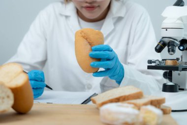 Bilimadamı kimyasalları ve mantarları laboratuvarda kontrol ediyor. Kontrol uzmanları kimyasal kalıntıların konsantrasyonunu inceliyor. Tehlike, standart, yasaklı maddeler, kirlilik, mikrobiyolog