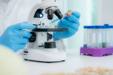 Bilimadamı ileri bilimsel laboratuvarda biyokimyasal örnekleri analiz ediyor. Tıbbi profesyonel kullanım mikroskobu virüsün mikrobiyolojik gelişimini gösteriyor. Fen laboratuvarında biyoteknoloji araştırması.