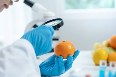 Bilimadamları, laboratuvardaki meyve ve sebze artıkları üzerindeki kimyasal maddelerin fiziksel etkilerini kontrol etmek için büyüteç kullanıyorlar. Kimyasal kalıntıların konsantrasyonunu inceleyin, standart, yasaklanmış maddeleri bulun