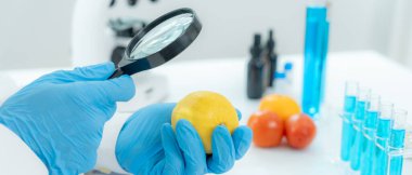 Bilimadamları, laboratuvardaki meyve ve sebze artıkları üzerindeki kimyasal maddelerin fiziksel etkilerini kontrol etmek için büyüteç kullanıyorlar. Kimyasal kalıntıların konsantrasyonunu inceleyin, standart, yasaklanmış maddeleri bulun