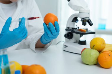 Bilimadamı laboratuvardaki kimyasal gıda kalıntılarını kontrol ediyor. Denetim uzmanları meyvelerin kalitesini incelerler, bilim adamları deneyler, tehlikeler, yasaklanmış maddeler ve kirlilik için elmalara kimyasal madde enjekte ederler.