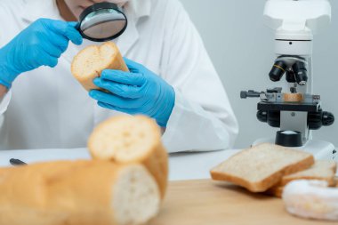 Bilimadamı kimyasalları ve mantarları laboratuvarda kontrol ediyor. Kontrol uzmanları kimyasal kalıntıların konsantrasyonunu inceliyor. Tehlike, standart, yasaklı maddeler, kirlilik, mikrobiyoloji