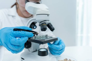 Bilimadamı laboratuvardaki tüm kimyasal tanecikleri kontrol ediyor. Kontrol uzmanları kimyasal kalıntıların konsantrasyonunu inceliyor. Tehlike, standart, yasaklı maddeler, kirlilik, mikrobiyoloji