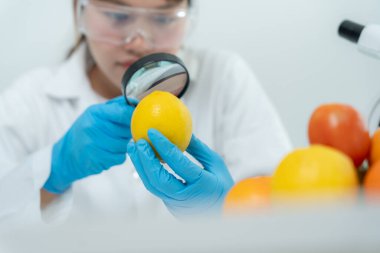 Bilimadamları, laboratuvardaki meyve ve sebze artıkları üzerindeki kimyasal maddelerin fiziksel etkilerini kontrol etmek için büyüteç kullanıyorlar. Kimyasal kalıntıların konsantrasyonunu inceleyin, standart, yasaklı maddeyi bulun