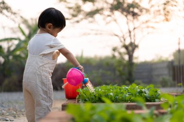 Evde organik tarım, organik sebze çiftliği. Çocuklar organik sebzeleri suluyor. Zehirli olmayan sebze doğal olarak yetişir. sera bahçesi, Ekolojik Biyolojik, Sağlıklı, Vejetaryen, ekoloji