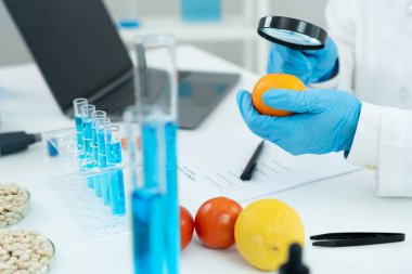 Bilimadamları, laboratuvardaki meyve ve sebze artıkları üzerindeki kimyasal maddelerin fiziksel etkilerini kontrol etmek için büyüteç kullanıyorlar. Kimyasal kalıntıların konsantrasyonunu inceleyin, standart, yasaklanmış maddeleri bulun