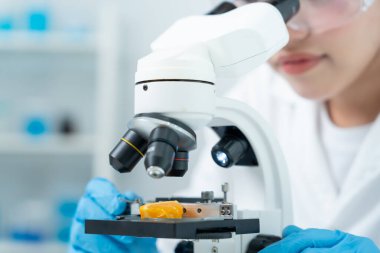 Laboratuvardaki kimyasal gıda kalıntılarını kontrol et. Kontrol uzmanları meyve ve sebzelerin kalitesini inceler. Laboratuvar, tehlike, ROHs, yasaklı maddeleri bul, kirlet, mikroskop, mikrobiyolog