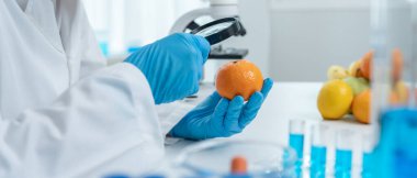 Bilimadamları, laboratuvardaki meyve ve sebze artıkları üzerindeki kimyasal maddelerin fiziksel etkilerini kontrol etmek için büyüteç kullanıyorlar. Kimyasal kalıntıların konsantrasyonunu inceleyin, standart, yasaklanmış maddeleri bulun