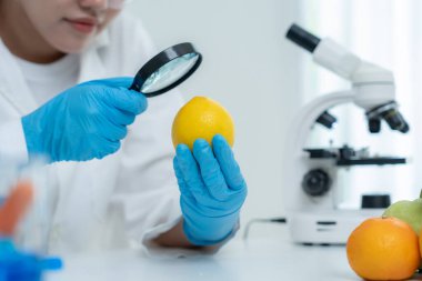 Bilimadamları, laboratuvardaki meyve ve sebze artıkları üzerindeki kimyasal maddelerin fiziksel etkilerini kontrol etmek için büyüteç kullanıyorlar. Kimyasal kalıntıların konsantrasyonunu inceleyin, standart, yasaklanmış maddeleri bulun