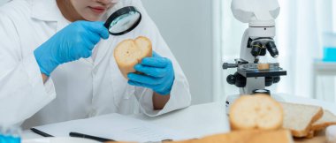 Bilimadamları laboratuardaki fırın kalıntılarındaki kimyasal maddelerin fiziksel oluşumunu kontrol etmek için büyüteç kullanıyorlar. Kimyasal kalıntıların konsantrasyonunu inceleyin, standart, yasaklı maddeyi bulun