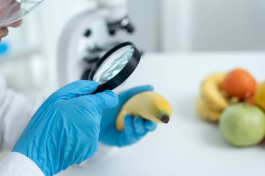 Bilimadamları, laboratuvardaki meyve ve sebze artıkları üzerindeki kimyasal maddelerin fiziksel etkilerini kontrol etmek için büyüteç kullanıyorlar. Kimyasal kalıntıların konsantrasyonunu inceleyin, standart, yasaklanmış maddeleri bulun