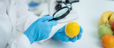 Bilimadamları, laboratuvardaki meyve ve sebze artıkları üzerindeki kimyasal maddelerin fiziksel etkilerini kontrol etmek için büyüteç kullanıyorlar. Kimyasal kalıntıların konsantrasyonunu inceleyin, standart, yasaklanmış maddeleri bulun