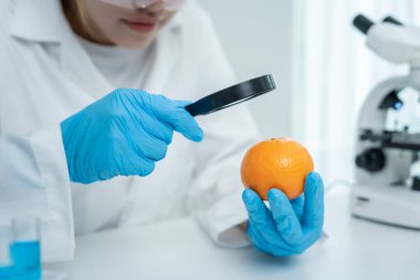 Bilimadamları, laboratuvardaki meyve ve sebze artıkları üzerindeki kimyasal maddelerin fiziksel etkilerini kontrol etmek için büyüteç kullanıyorlar. Kimyasal kalıntıların konsantrasyonunu inceleyin, standart, yasaklı maddeyi bulun