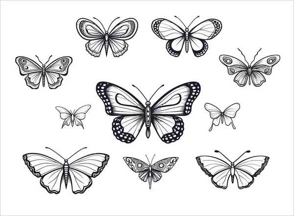Vektorová Ilustrace Sada Motýlů — Stockový vektor