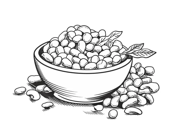 Sketsa Semangkuk Kacang Arab Ilustrasi Vektor - Stok Vektor