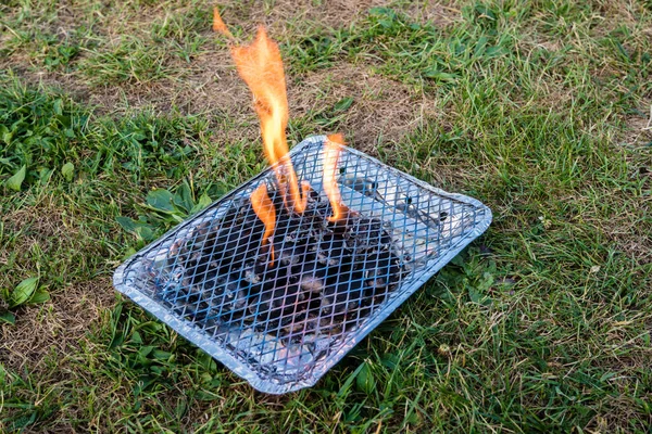 Disposable Grill Meadow — Stock Photo, Image