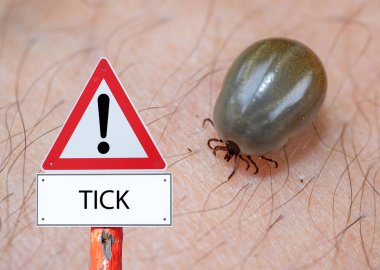 Warning sign ticks with a bloody tick clipart