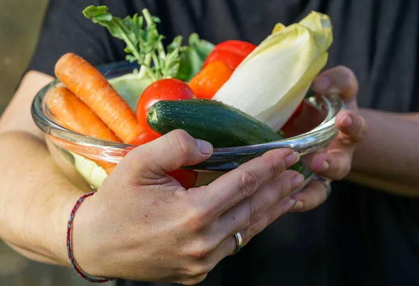 stock image woman holding bowls with various vegetables after harvesting in the garden