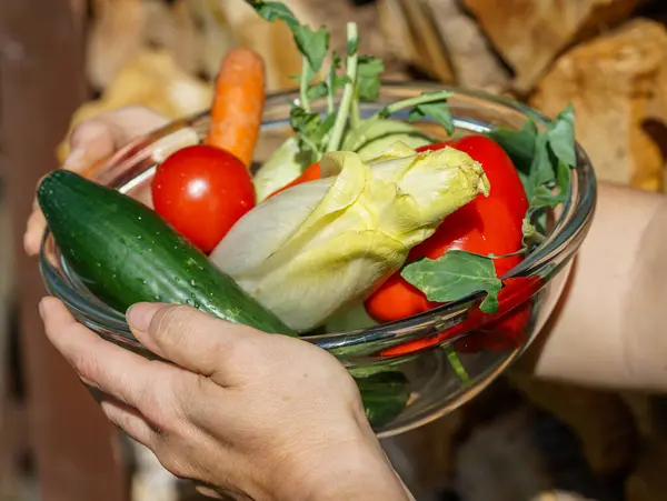 Stock image hand holding a bowls with vegetables