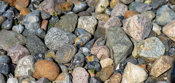 Many Pebbles Stone Texture Background — Stock Photo, Image