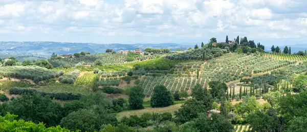 意大利的全景图斯卡尼景观 图库图片