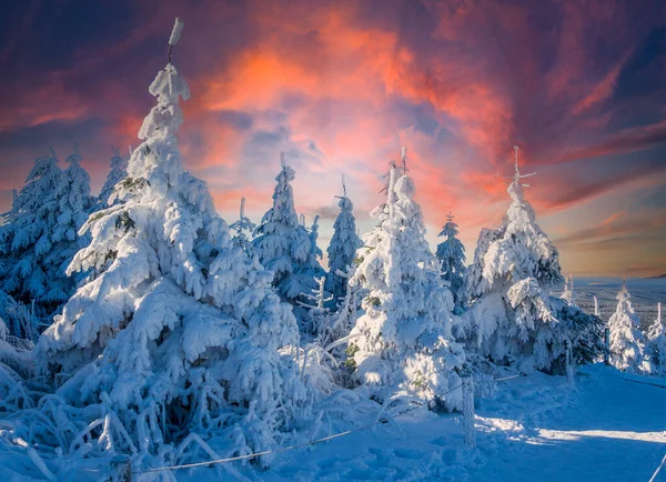 winter wonderland in the Erzgebirge with snow and sunset