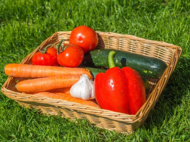 Basket with fresh vegetables stands in the garden on a meadow clipart