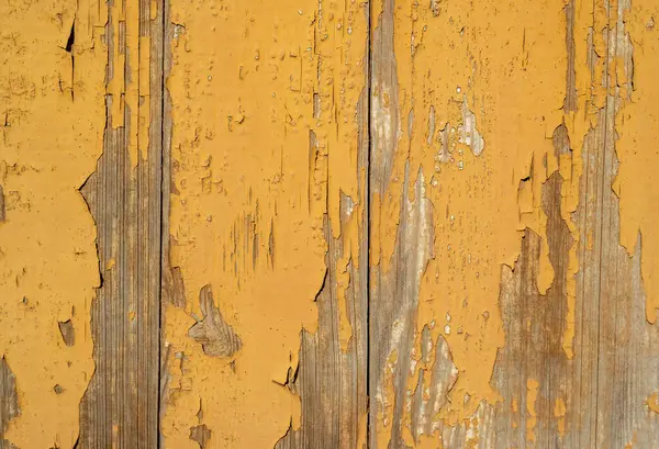 old weathered wood texture where the paint is peeling off