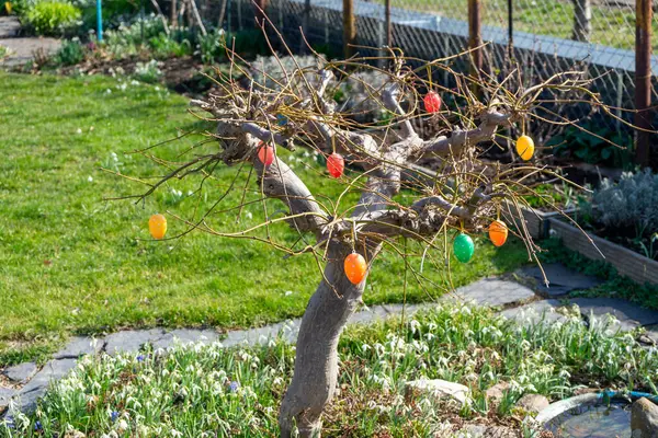 Tree in the garden with colorful Easter eggs