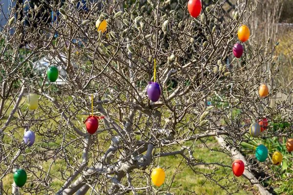 Tree in the garden with colorful Easter eggs