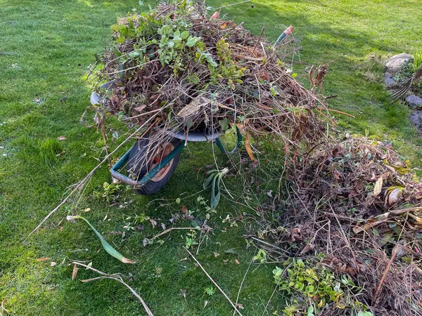 wheelbarrow with garden waste in the garden