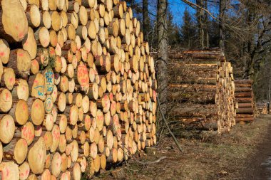 stack of logs in the wooden industry clipart