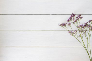 Beyaz arkaplanda, kopyalama alanı olan soyut doğal çiçek çerçevesi düzeni. Uluslararası Kadınlar Günü. Anneler Günü konsepti