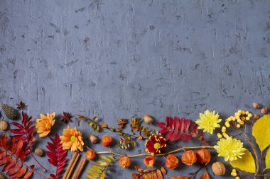 Sonbahar ve Şükran Günü 'nde balkabağı ve yapraklar. Boşluğu kopyala, yüksek açı görünümü