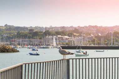 Gezinti güvertesinden marinaya ve Howth 'a, Howth Yarımadası Dublin İrlanda' sındaki bir İrlanda kasabasına. Sakin mavi deniz manzarası ve berrak gökyüzü 