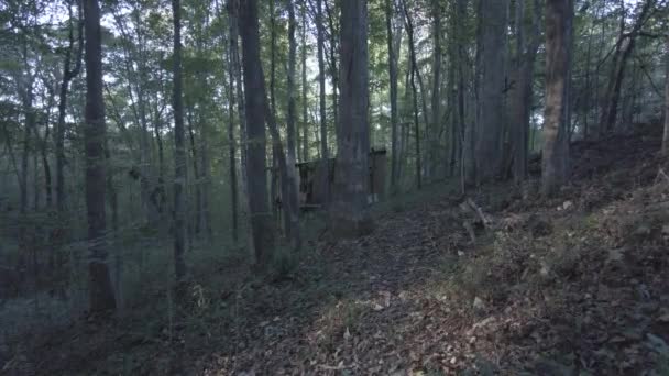 森の中の斜面と小さな隠されたキャビン — ストック動画