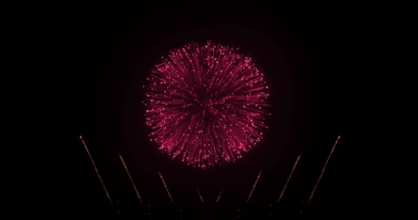 Время Праздновать Этим Взрывающимся Фейерверком Текстовое Сообщение Красочные Открывалка Видео — стоковое видео