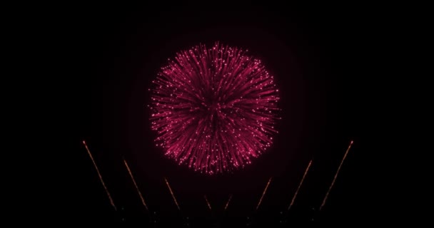 Время Праздновать Взрывающийся Фейерверк Текстовое Сообщение Открыватель Ближе Высококачественные Кадры — стоковое видео