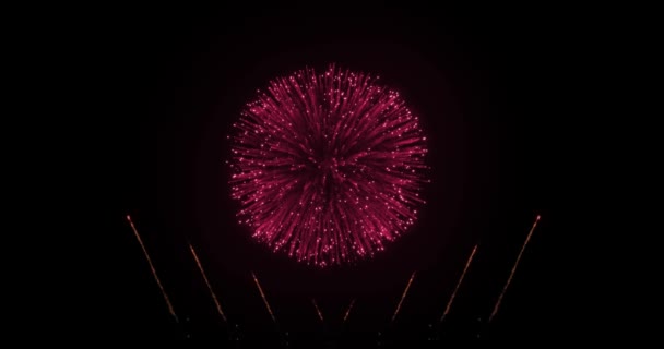 Waktu Untuk Merayakan Ledakan Pesan Teks Fireworks Pembuka Dan Pendekatan — Stok Video