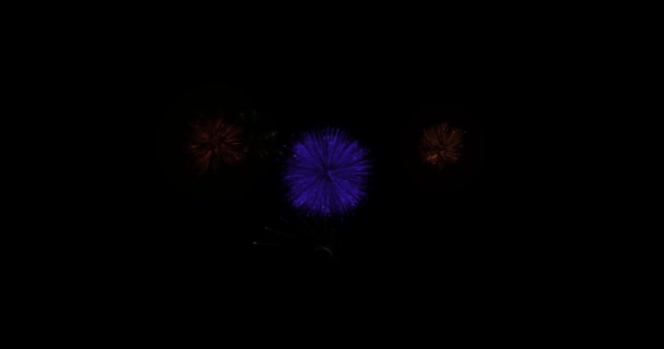 Ora Festeggiare Esplosione Del Messaggio Testo Dei Fuochi Artificio Apriscatole — Video Stock
